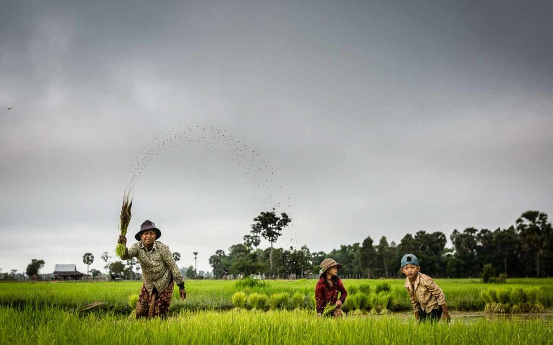 Cambodia Wet Season