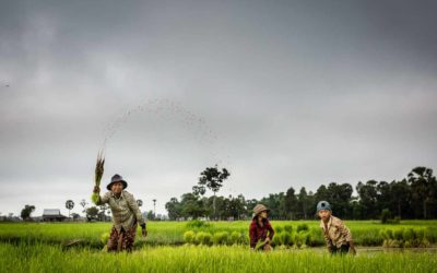 The Wet Season in Siem Reap: Should I avoid it?