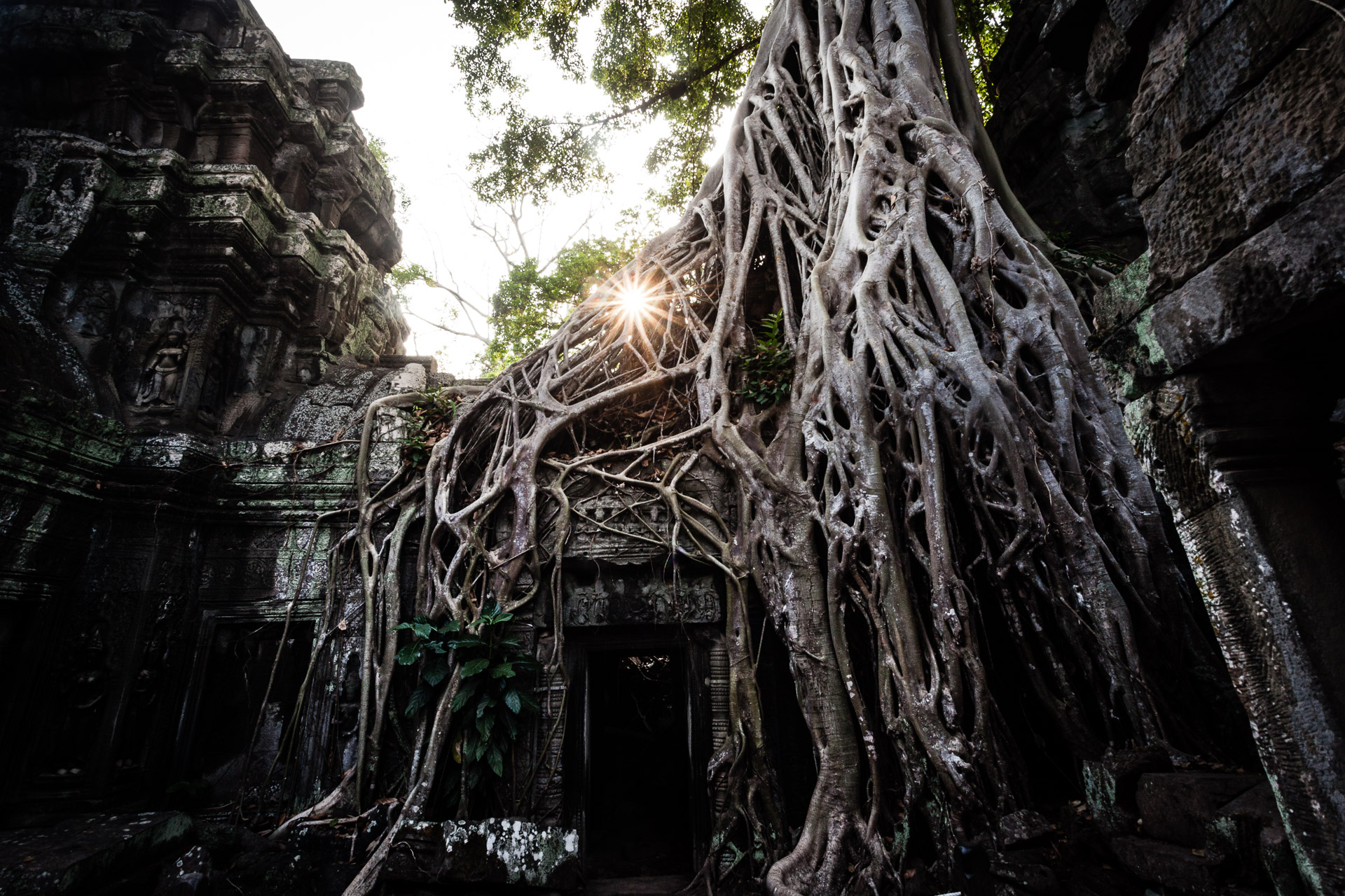 Ta Prohm
