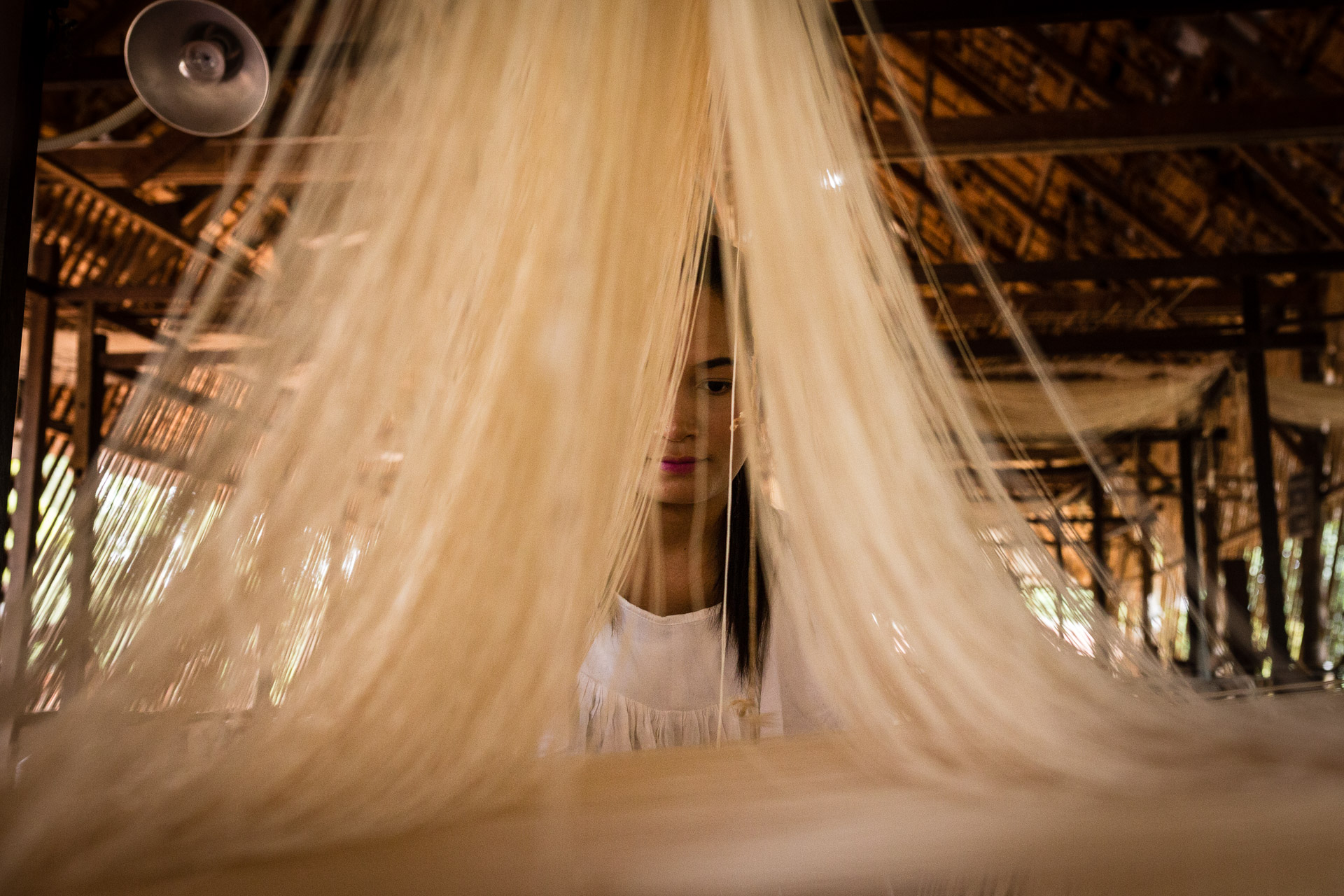 Golden Silk Golden Silk
