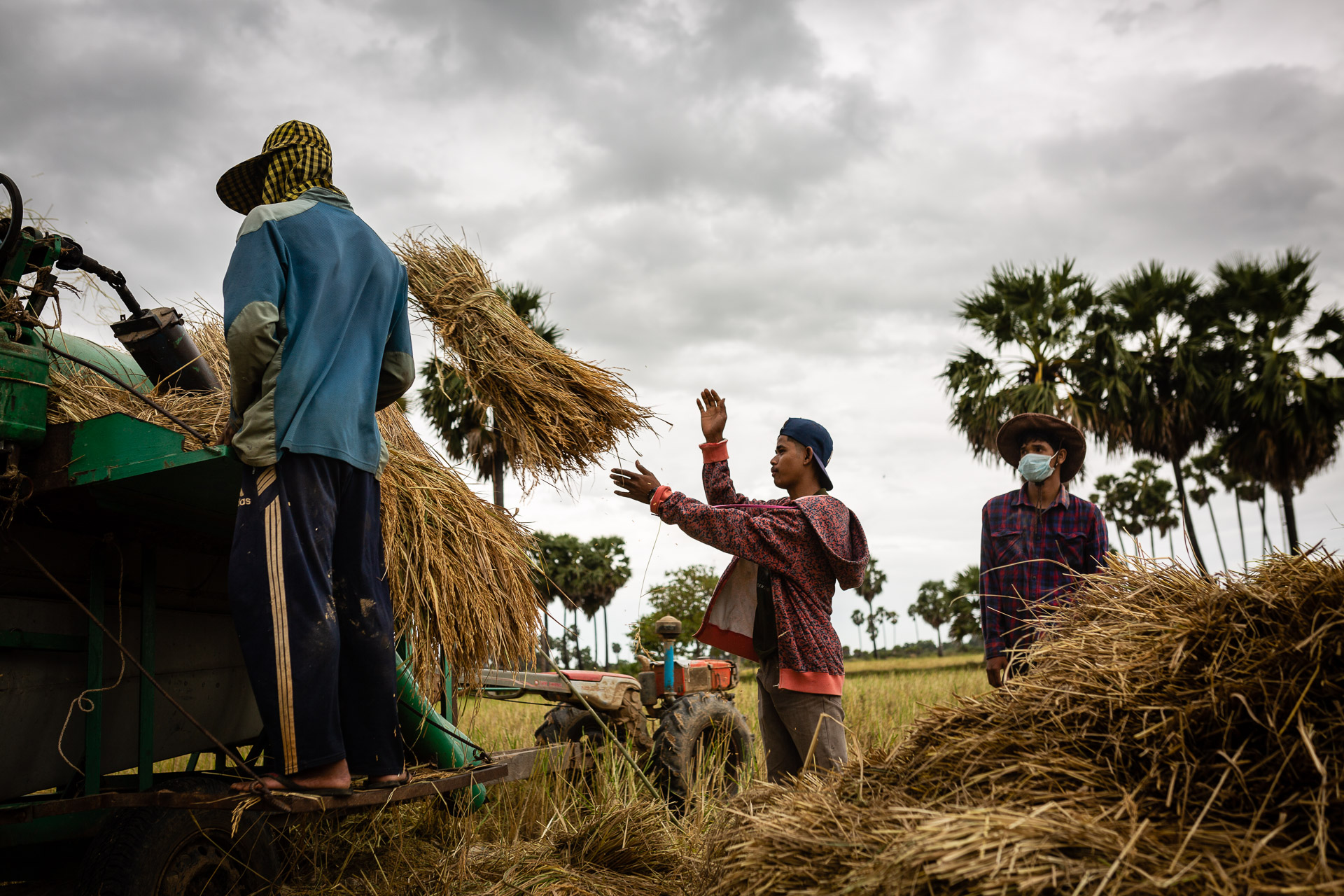 rb-8411 Cambodian Market