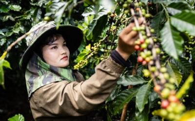 A Photographer in Mission in Laos’ Bolaven Plateau