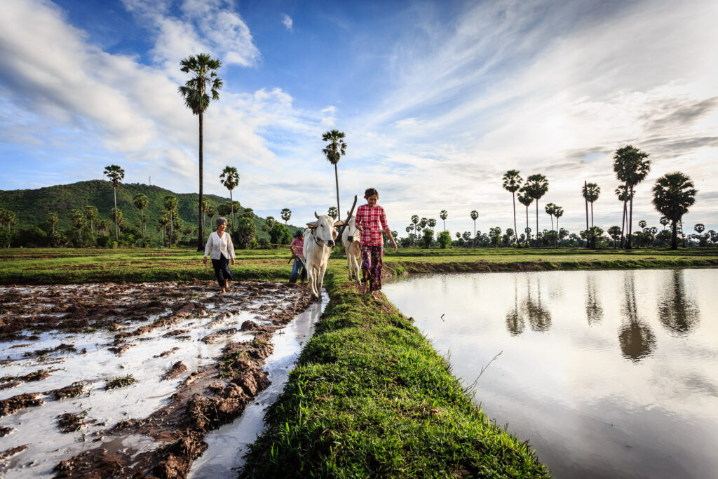 Rural Cambodia
