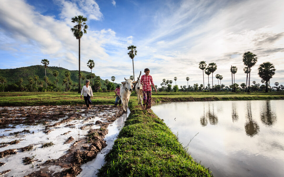 Exciting News: Double the Fun in Cambodia this August!