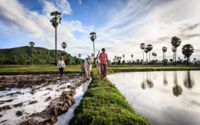 Exciting News: Double the Fun in Cambodia this August!