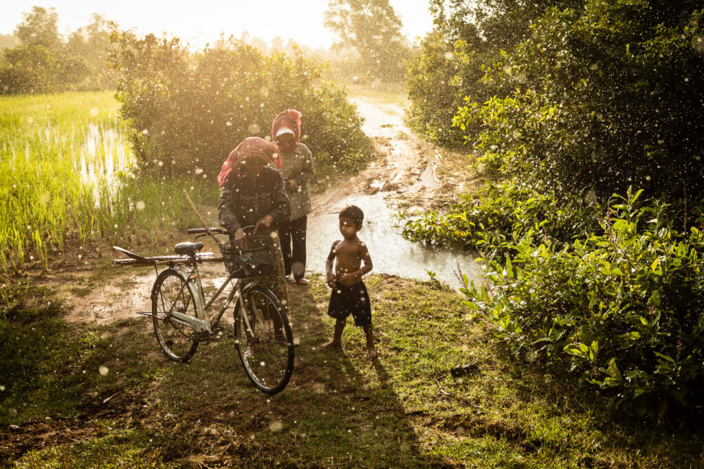Rain in the fields in Cambodia