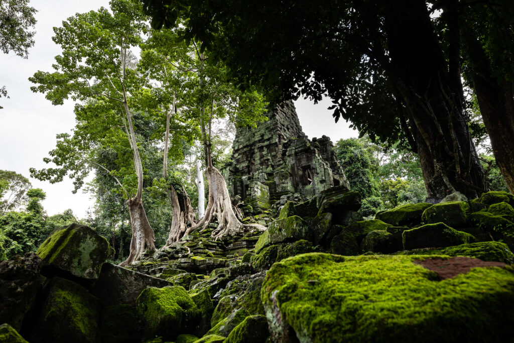 Angkor temples after rain