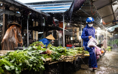 Capturing Vietnam’s Beauty with an Umbrella in Hand
