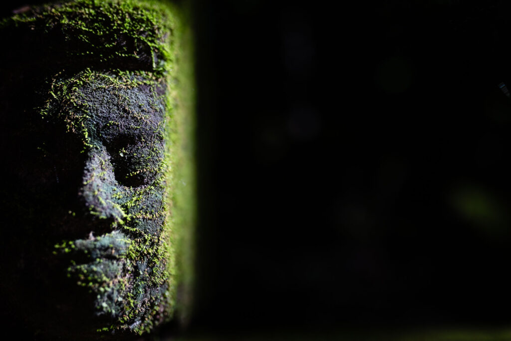 Secrets of Angkor in the light