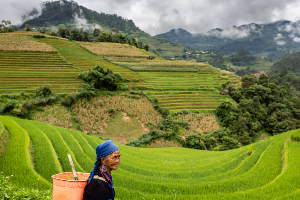 Mu Cang Chai