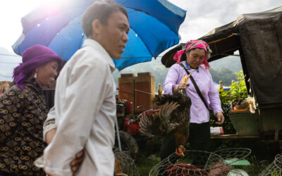 How to Photograph a Market in Asia: A Comprehensive Guide for Enthusiastic Photographers