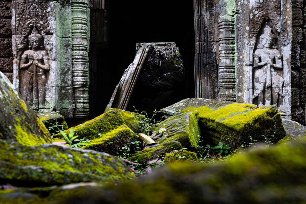 Green Moss on 24 November 2022