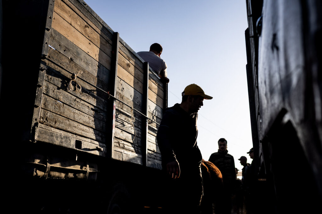 Silhouettes in Bukhara