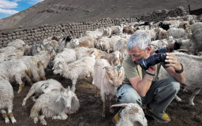 My best shots from Ladakh that prove I was actually there!
