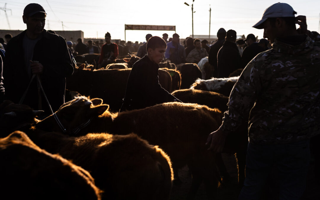 Market in Uzbekistan