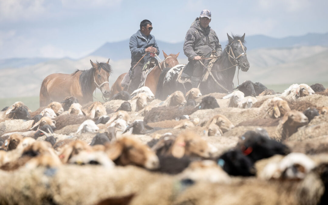 Kyrgyzstan Photography Workshop: We do it differently