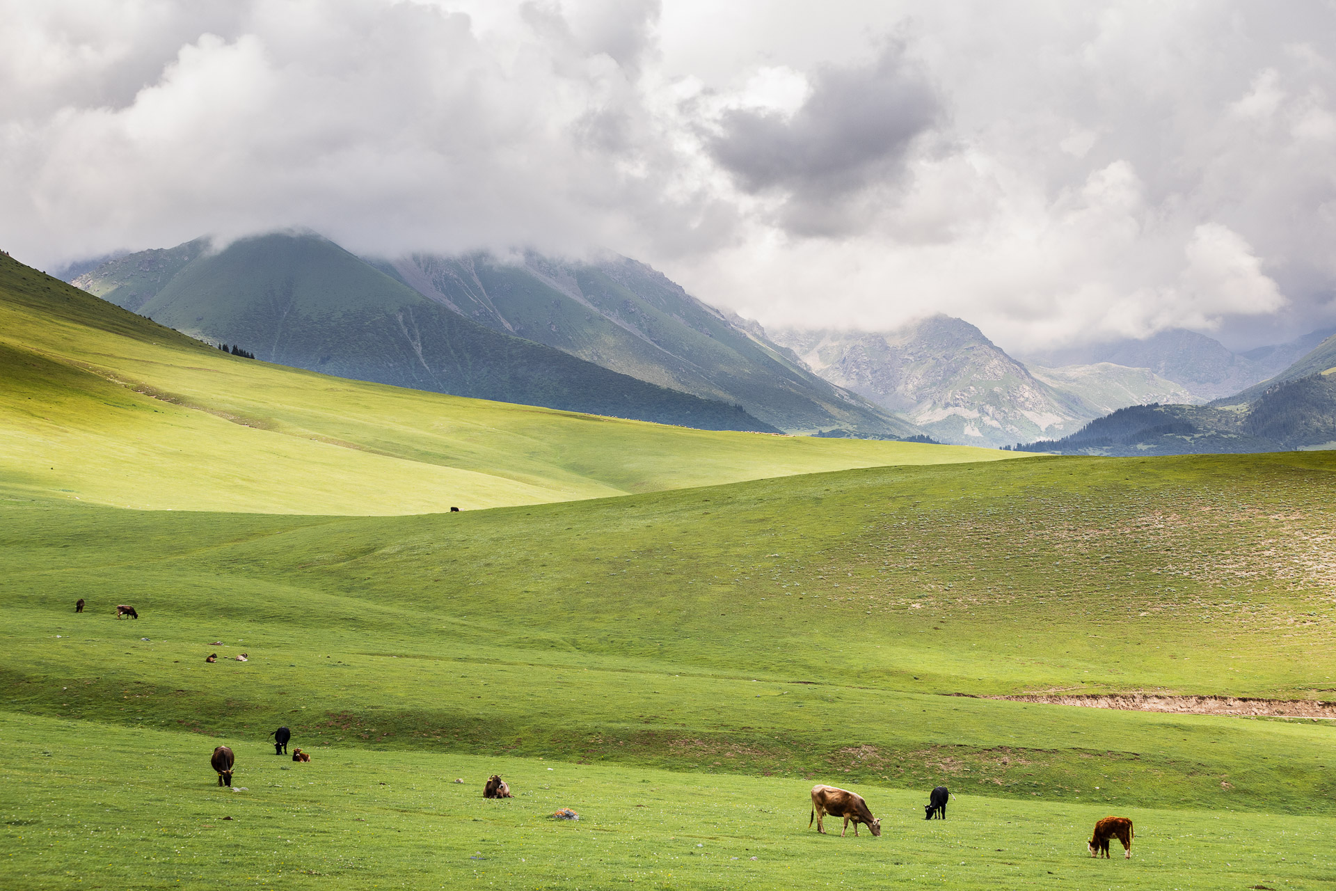 Wide landscapes of Kyrgyzstan Wide landscapes of Kyrgyzstan