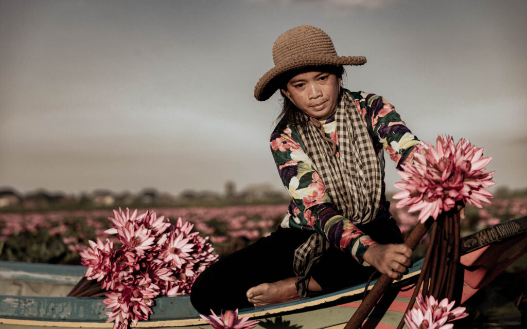 Water Lilies By Manuela