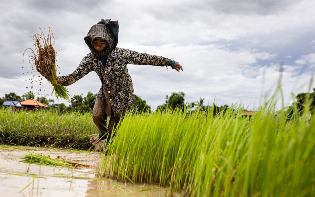 Through your Eyes: Cambodia Photo Workshop 2025