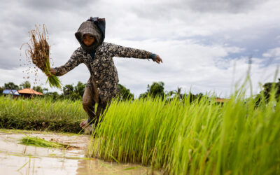 Through your Eyes: Cambodia Photo Workshop 2025