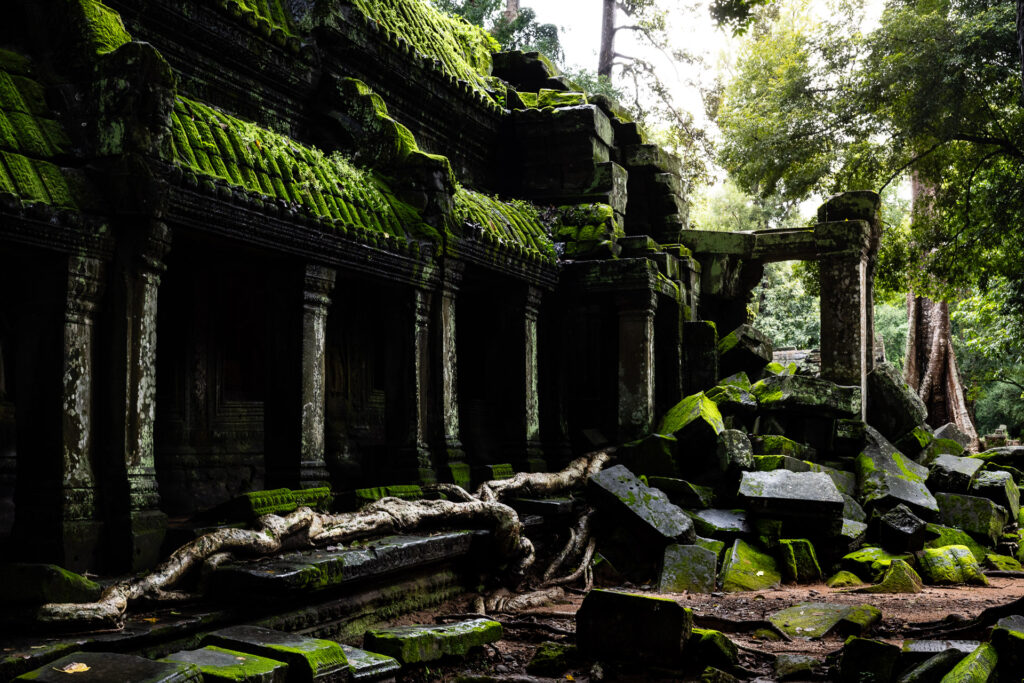 Ta Prohm after the rain