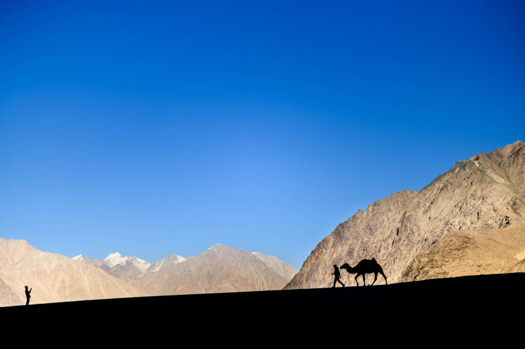 Best of Ladakh (3)
