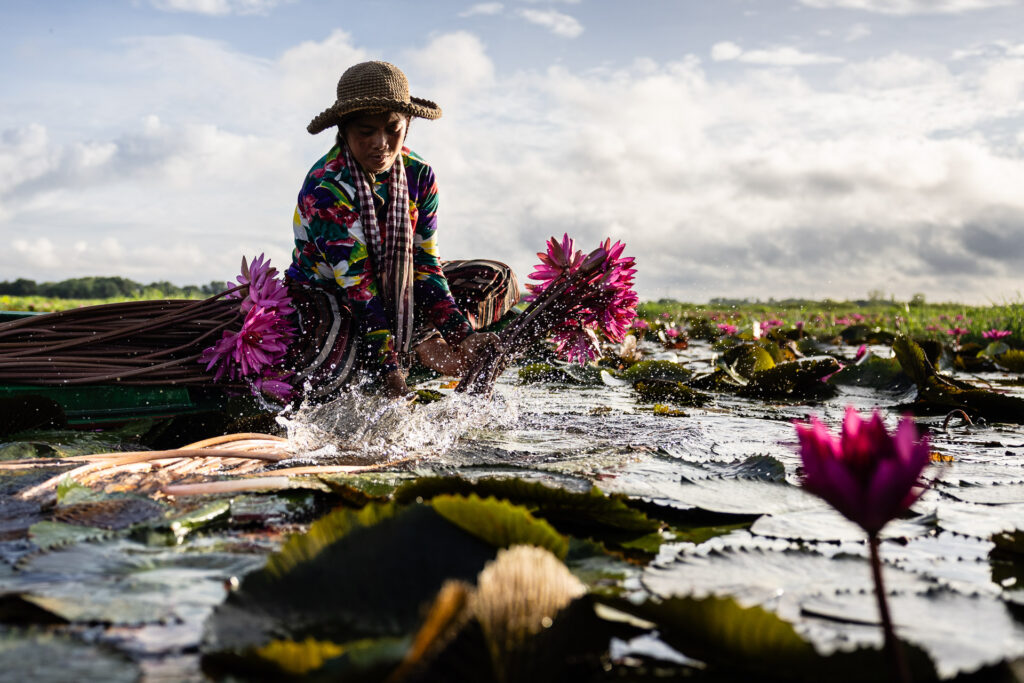 Best of Cambodia