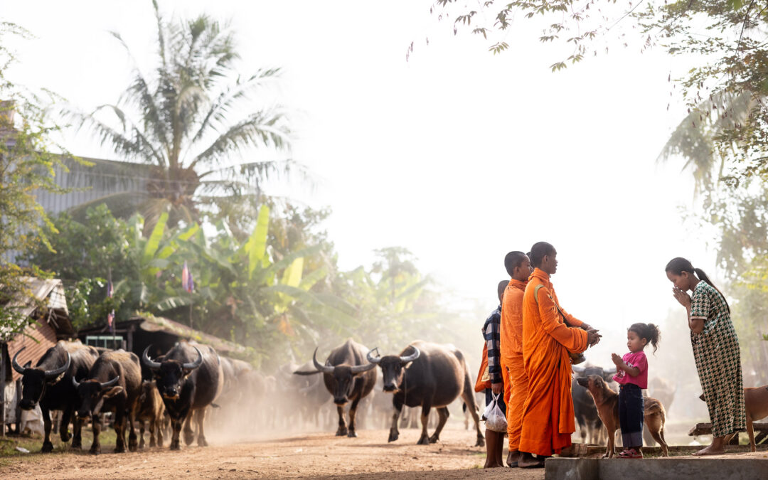 Private Photo Workshop in Cambodia: A Photography Tour Clients Keep Returning To