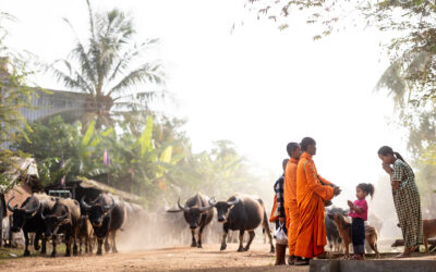 Private Photo Workshop in Cambodia: A Photography Tour Clients Keep Returning To