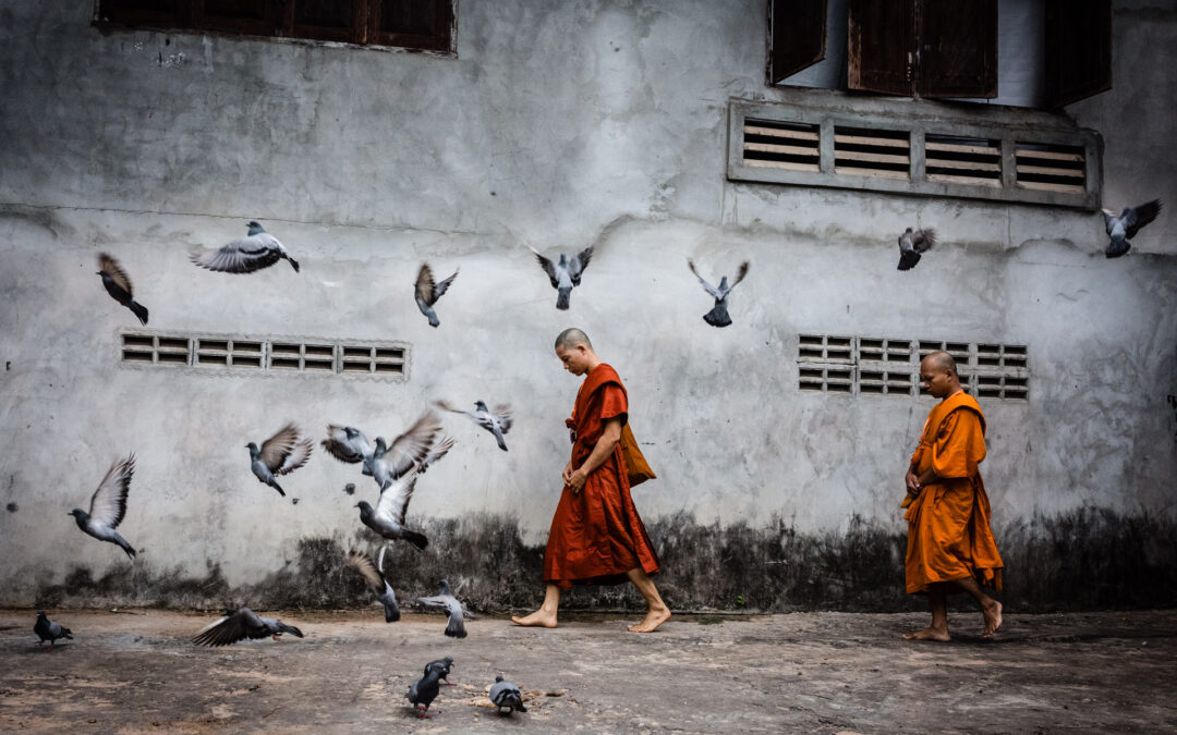 Monks in the street of Siem Reap
