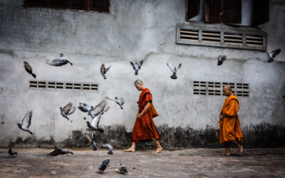 Mastering Street Photography: How to See, Feel, and Capture the Streets