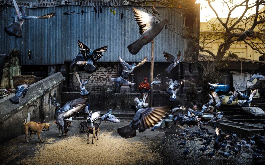 North India Photography Workshop: The Next Chapter After Cambodia