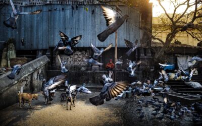 North India Photography Workshop: The Next Chapter After Cambodia