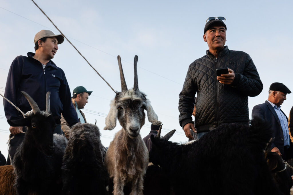 Animal Market Ouzbekistan