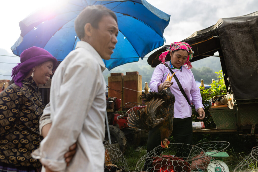 Selling Chicken at the market