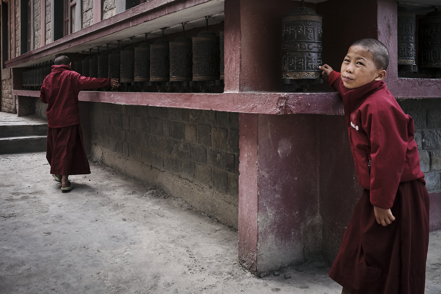 Novice Monk